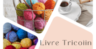 Livre tricotin