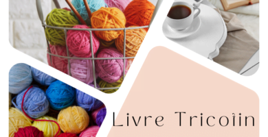 Livre tricotin