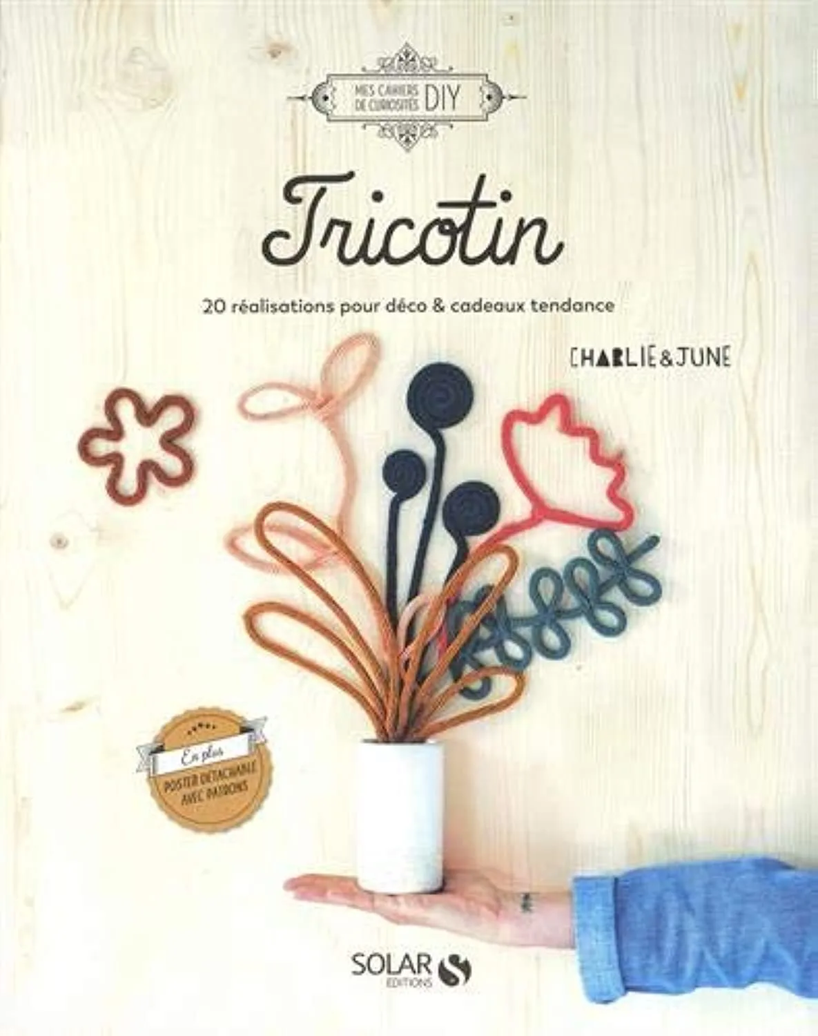 Tricotin: 20 réalisations pour déco et cadeaux tendance - livre tricotin